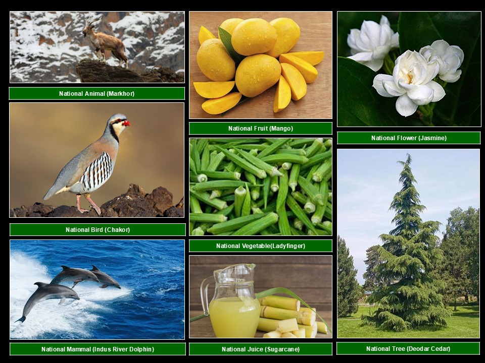 National Animal , Furit , Flower