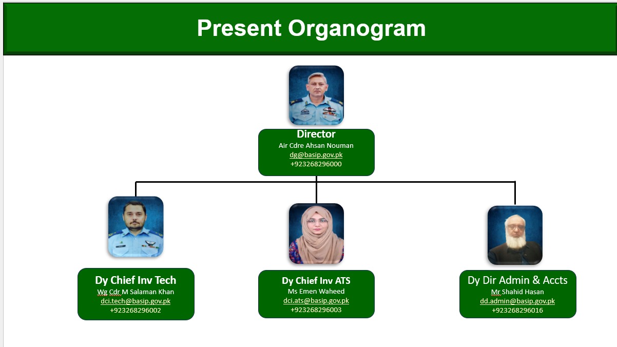 BASIP Organogram